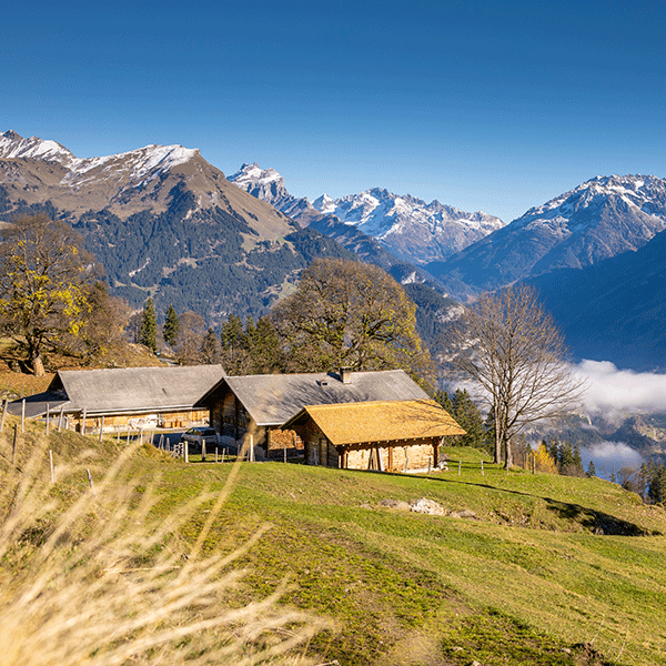 Alp Seili